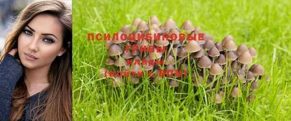 мефедрон Гусев