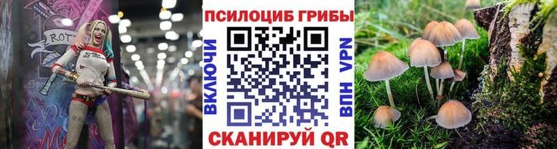 Купить где  Оха  Галлюциногенные грибы Psilocybe 